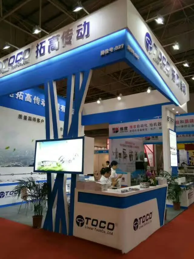 High Precision Direct Marketing Manufacturer Anti-Rust Ball Screw Made in China
