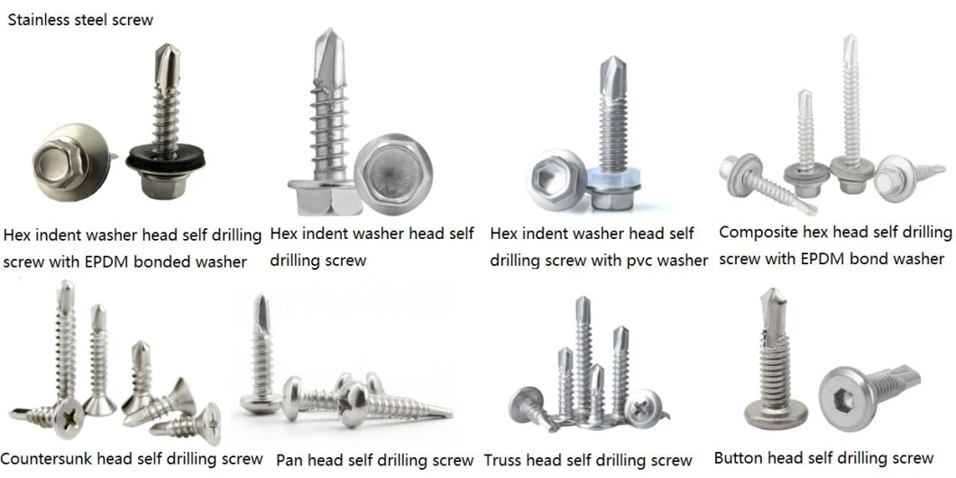 Stainless Steel Screws/Self Drilling Screw/Self Tapping Screw/Roofing Screw/Machine Screw/Wood Screw/Chipboard Screw/Brass Screw/Drywall Screw /Grub(sets)Screw