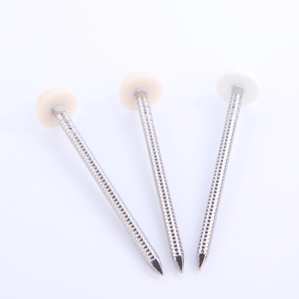 ISO Decorative Nail 7 Inch China Roofing Nails Screw Ms11001
