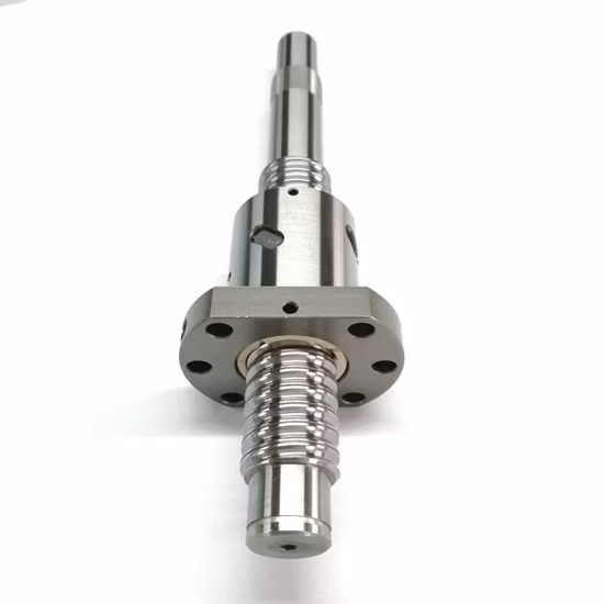 Chinese Factory Supply C5 C7 Tolerance Ballscrew Nut CNC Xyz Linear Module Part C5 Precision Ground Ball Screw for CNC Machine