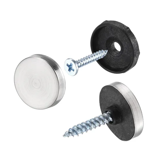 Stainless Steel Mirror Nailssteel Plastic Nailsadvertising Decorative Screwsmirror Nails 